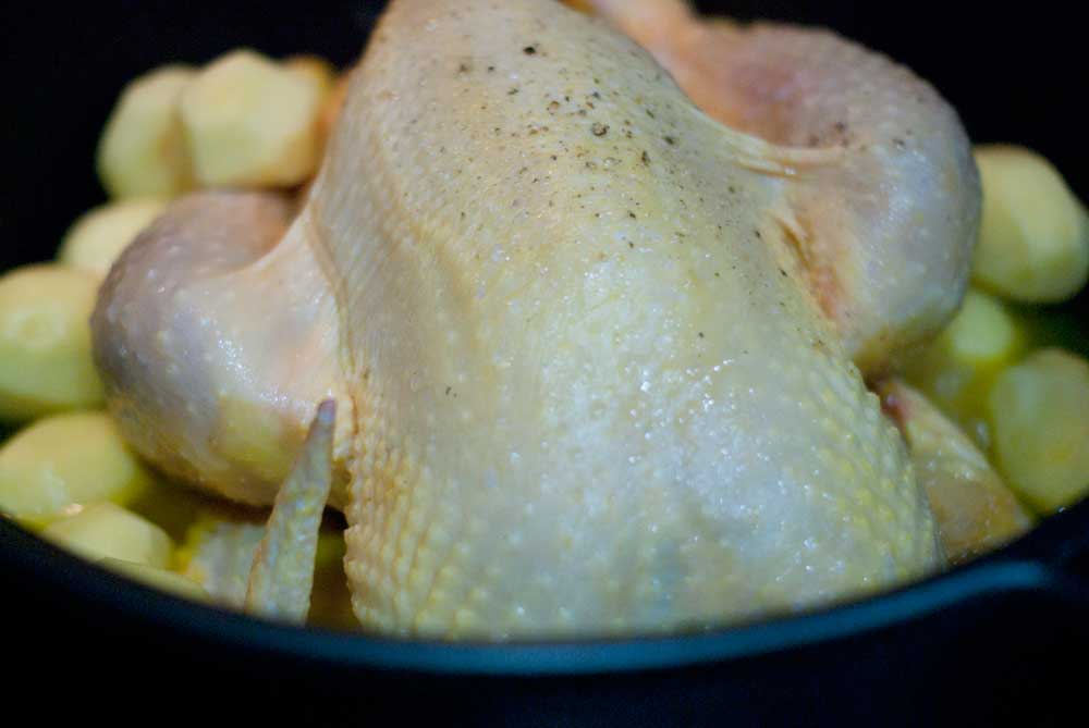 pollo-asaso2