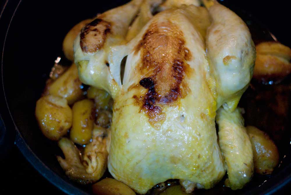 pollo-asaso3