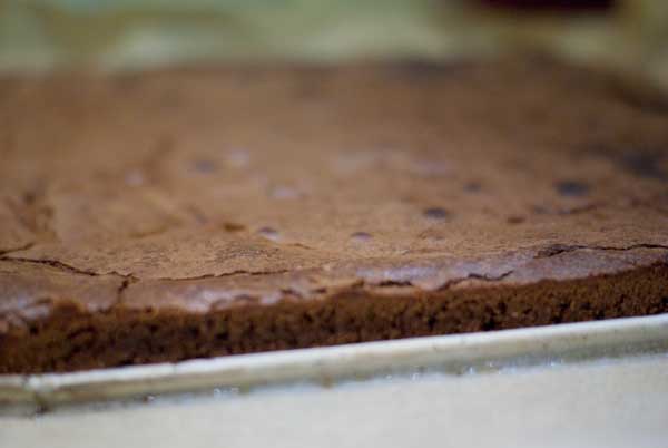 brownie_01